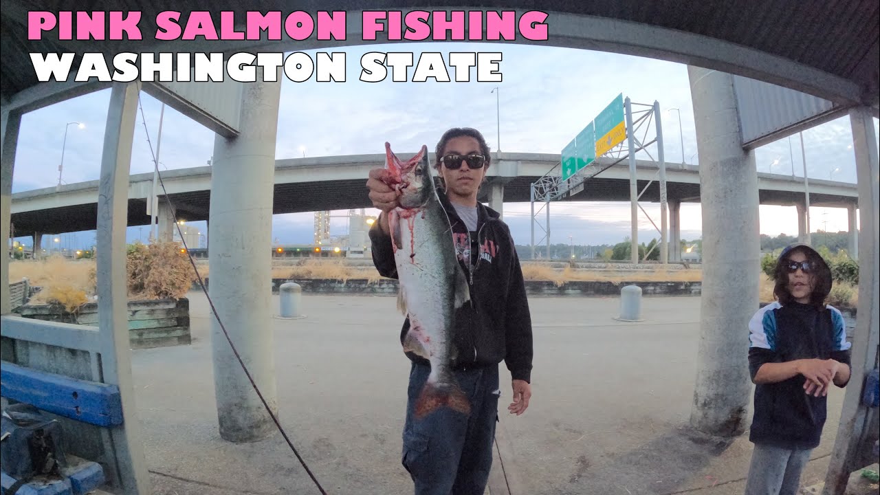 WASHINGTON STATE PINK SALMON FISHING ALOT YouTube