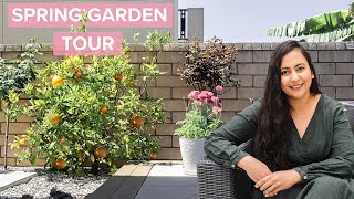 Full May 2024 Garden Tour | My Modern Cottage Garden Is Waking Up