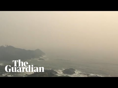 Bushfires leave thick,