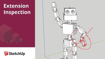 Moveable Joints - Extension Inspection