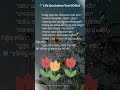 Life Quotation Vani (Odia) #lifeisbutadream #motivation #youtuber