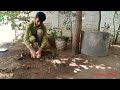 Plantation of trees at holy places | Khaki Shah Dargah Jhansi | @sabatkhaldy2720