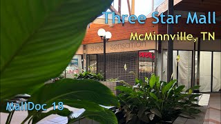 Three Star Mall | Wood-Clad Dead Mall Wonderland | MallDoc 18