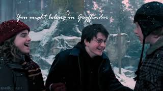 Gryffindor Pride - Harry Potter Multifandom