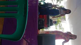 Download Lagu Berbezakasta niklego MP3