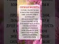 🎁 Нажми, чтобы получить добрую весть👈