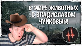 картинка: Разница в стилях игры на России и Европе в Hunt: Showdown