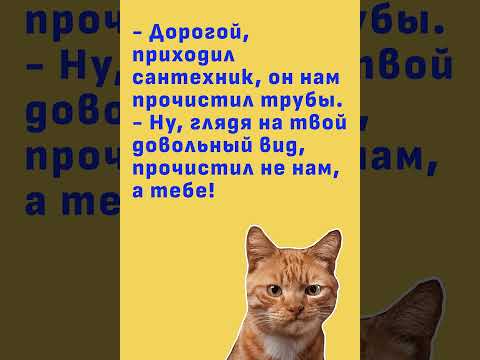 Анекдот про сантехника #юмор #прикол #смешновидео #смех