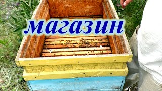 Магазин из OSB на 16-ти РАМОЧНЫЙ УЛЕЙ