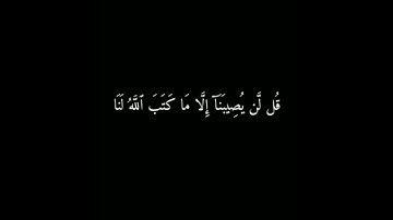 قرآن كريم راحة نفسية 🍀 اجر لي ولكم 💚 استمع 💙😌