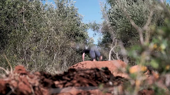 One morning in under a minute: Ryan Lloyd