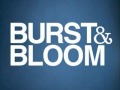 Burst And Bloom - Free Advice
