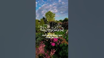 القارئ محمد هشام #quran