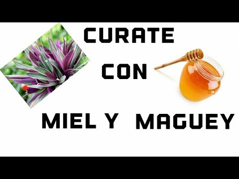 Para tos oregano infusion