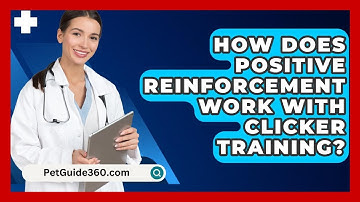 How Does Positive Reinforcement Work With Clicker Training? - PetGuide360.com