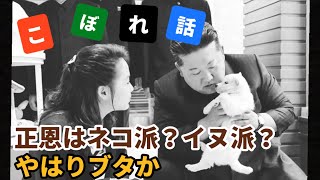 （2026.6.3）やはりブタ
