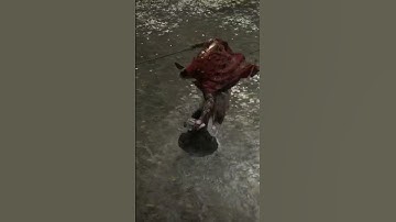 Had To Teach Malenia A Lesson 😂 - Elden Ring #eldenring #shorts