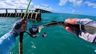 Seven Miles Of Fishing Paradise Epi 2 - The Florida Keys by FishAholic Fishing 252,735 views 4 months ago 29 minutes