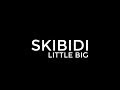Little Big "Skibidi" (Audio) (Lyrics)