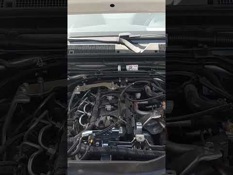 نيسان نافارا ٢٠٢٥