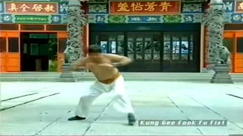 Hung Gar Chiu Chi Ling