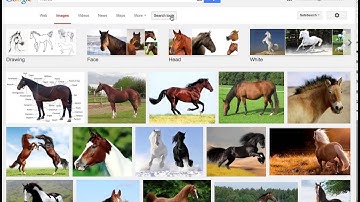 Finding Creative Commons Images on Google