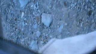 DSCN3218.AVI
