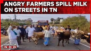 Tamil Nadu Dairy Farmers Protest Over Payment Issue Bjp Slams Dmk Government English News