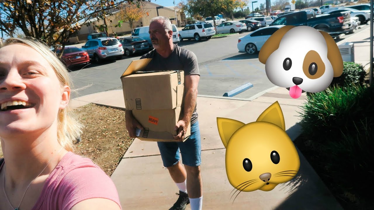 Donating To The Animal Shelter!