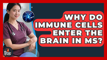 Why Do Immune Cells Enter The Brain In MS? - MS Support Network