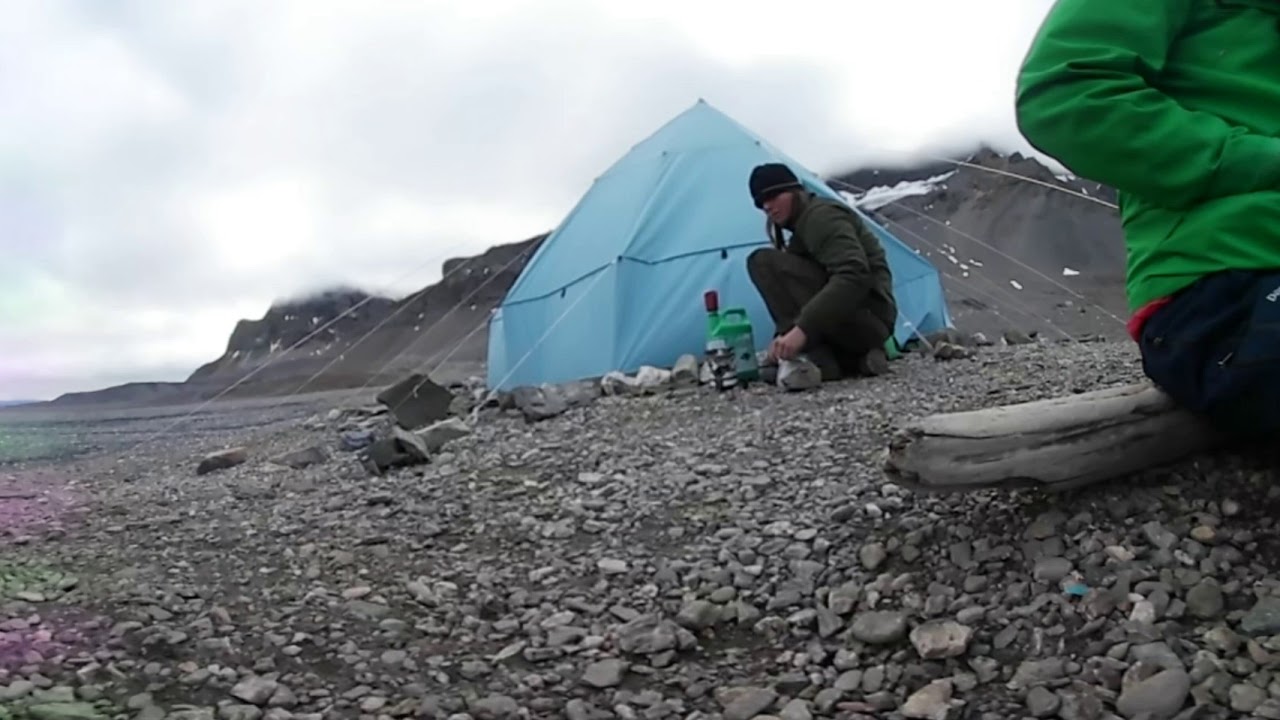 Spitzberg  - Ours polaires HD