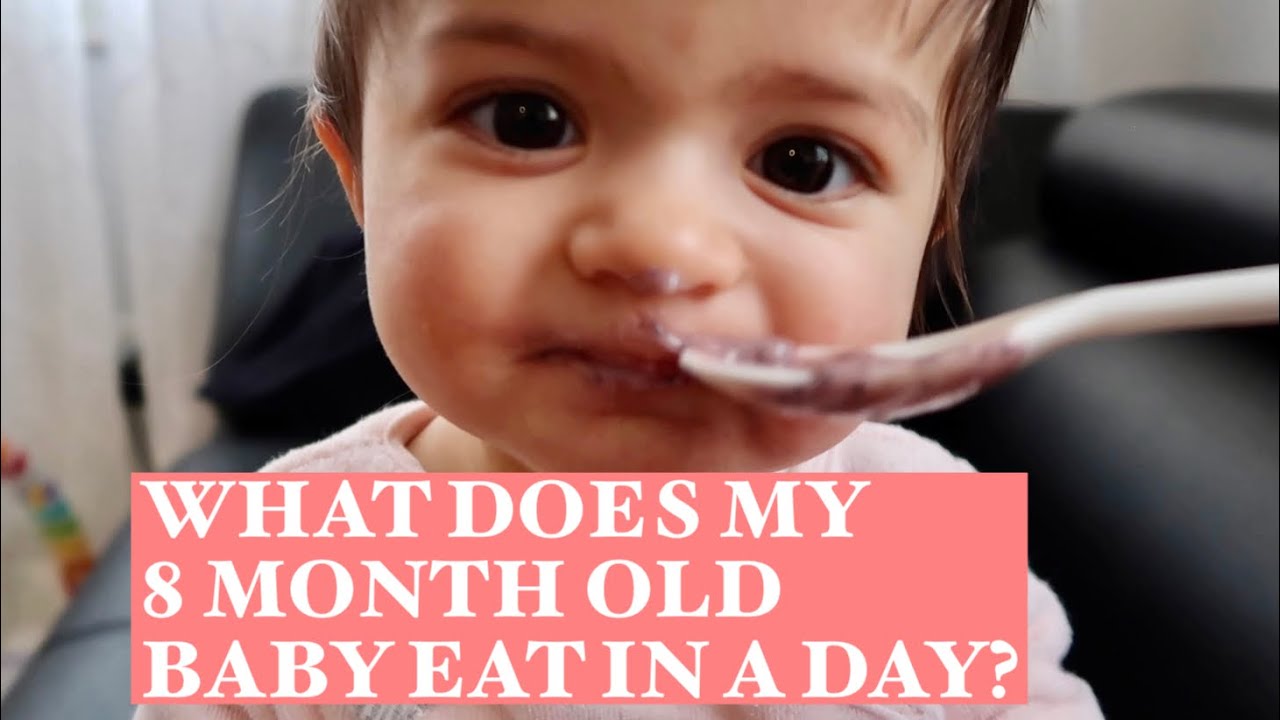 WHAT DOES MY 8 month old baby eat in a day? Homemade meal ideas YouTube