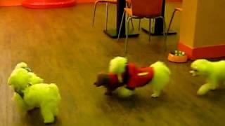MVI_5492.AVI