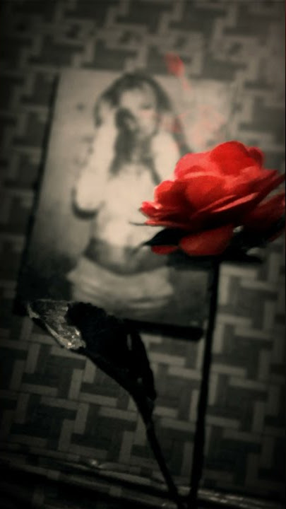 Story WA IG fullscreen terbaru lagu Bali‼ Peteng Dedet🌸