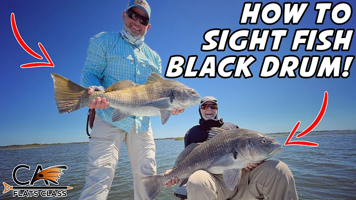 How To Sight Fish Black Drum! | Flats Class YouTube