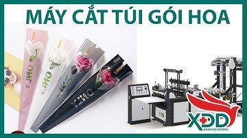 Máy cắt túi đựng hoa/ túi gói hoa