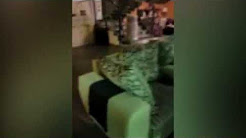 صدي البلد «مصر بتغرق» .. من داخل أحد فيلات التجمع الخامس وفيضان السيول يغمرها
