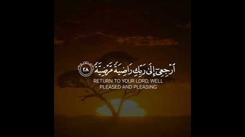 قران كريم بصوت القارئ خالد الجليل حالات واتس اب♥♥.