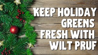 Keep Holiday Evergreens Fresh with Wilt Pruf 🌿🌲