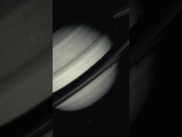 PJ Harvey - Voyager
