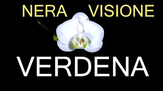 Video thumbnail of "VERDENA - NERA VISIONE (video)"