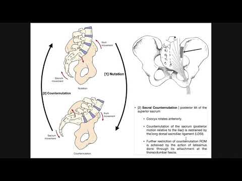 Video: Vad orsakar tight sacrum?