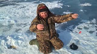 видео Щука на жерлицы: в поисках монстра по весеннему льду