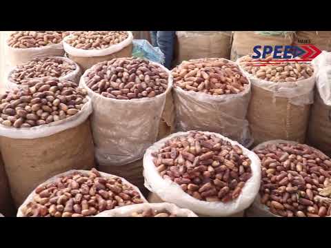 السكوتي والبرتامودا تعرف علي اغرب انواع البلح