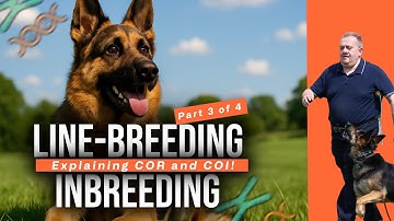 How understanding COR and COI can help your breeding program. #inbreeding #linebreeding #