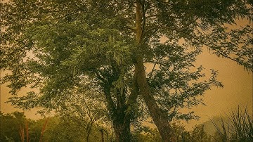 Quăng chài bắt cá suối và một ngày làm việc ở núi rừng