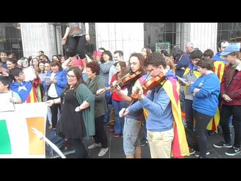 Vídeo: Quins Són Els Motius Del Llançament Fallit De 