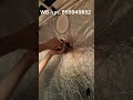 Вентиляция для ДНаТ в гроутент