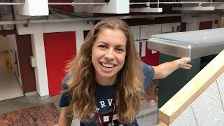 Как учеба в университете Америки отличается от учебы в России и Европе? Как учеба в университете Америки отличается от учебы в России и Европе?