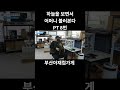 몸소 집사 운동시켜주는 고양이 #유격 #온몸비틀기 #고양이
